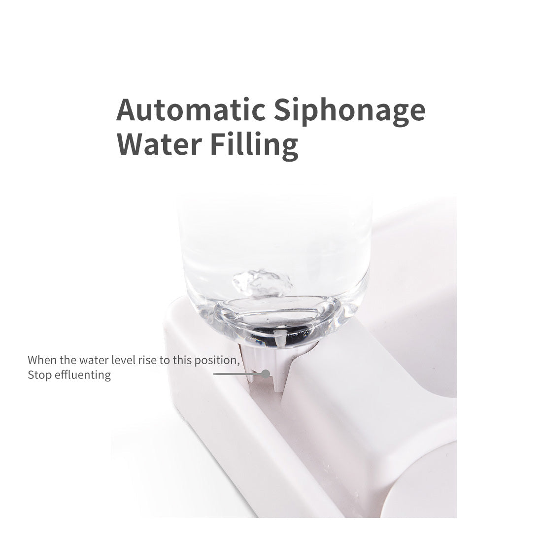 Automatic Duo Sip Feeder System™